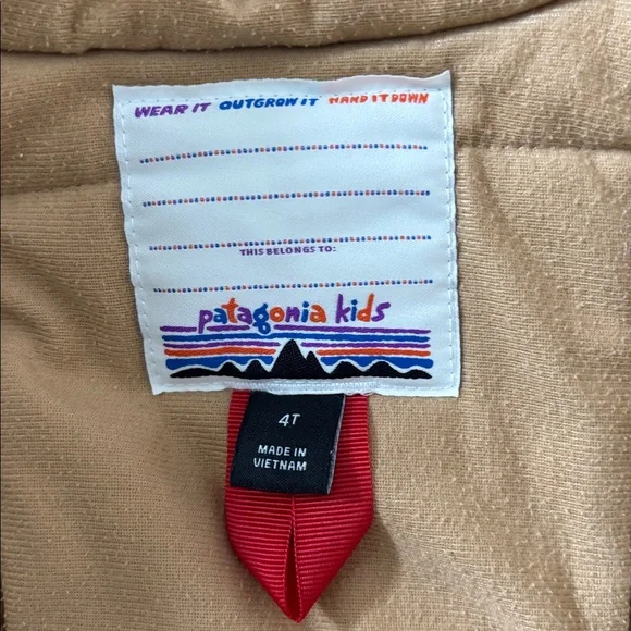 Patagonia Kids Snow Pile Waterproof Jacket Size 4T - Picture 4 of 9